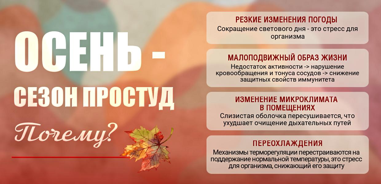 ЭРЛЮЦ (1240х600px, 72dpi) 1