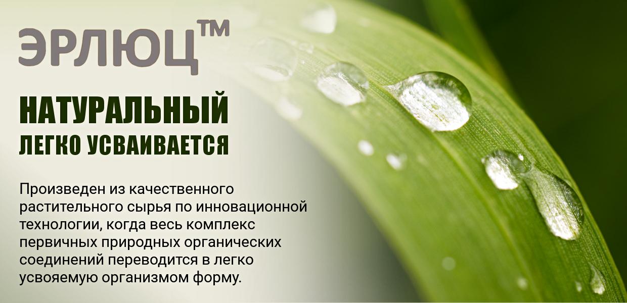 ЭРЛЮЦ (1240х600px, 72dpi) 4